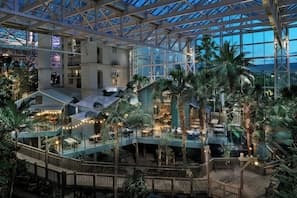 Gaylord Palms Resort & Convention Center exterior